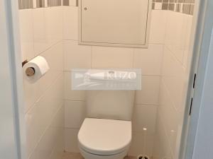 Pronájem bytu 1+kk, Praha, Kaplická, 27 m2