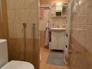 Prodej bytu 2+1, Sušice - Sušice II, Volšovská, 62 m2