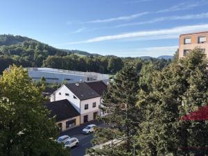 Prodej bytu 2+1, Sušice - Sušice II, Volšovská, 62 m2