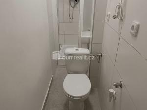 Pronájem bytu 1+kk, Benešov nad Ploučnicí, Nádražní, 16 m2