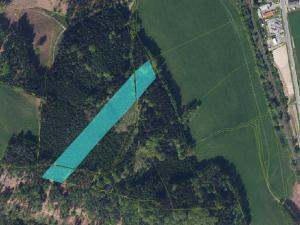 Prodej lesa, Velké Poříčí, 14479 m2