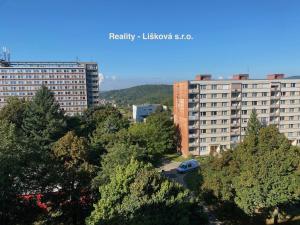 Pronájem bytu 2+1, Ústí nad Labem - Severní Terasa, Pod Parkem, 63 m2