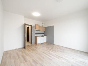 Pronájem bytu 1+kk, Praha - Dolní Měcholupy, Honzíkova, 28 m2