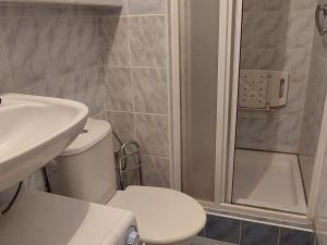 Pronájem bytu 1+kk, Valašské Meziříčí, Vsetínská, 19 m2
