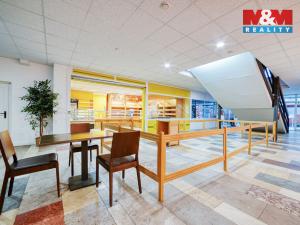 Pronájem obchodního prostoru, Třemošná, Plzeňská, 86 m2