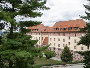 Prodej bytu 1+1, Brno, Mučednická, 46 m2