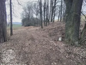 Dražba rybníku, Všepadly, 79189 m2