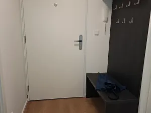 Pronájem bytu 2+kk, Brno, třída Generála Píky, 47 m2