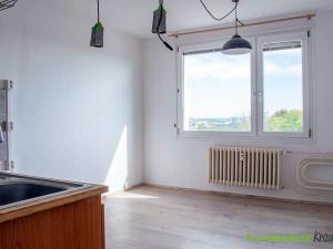 Prodej bytu 1+1, Plzeň, Kreuzmannova, 44 m2