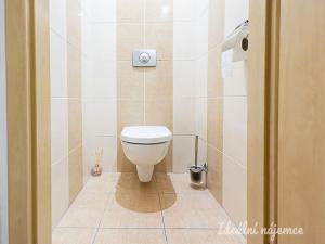 Pronájem bytu 1+kk, Praha - Žižkov, Biskupcova, 27 m2