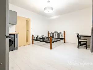 Pronájem bytu 1+kk, Praha - Žižkov, Biskupcova, 27 m2