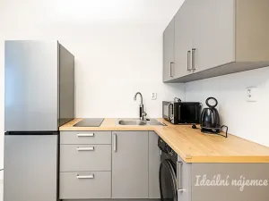 Pronájem bytu 1+kk, Praha - Žižkov, Biskupcova, 27 m2