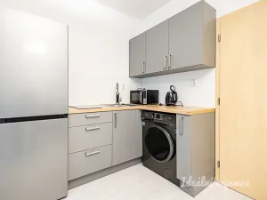 Pronájem bytu 1+kk, Praha - Žižkov, Biskupcova, 27 m2