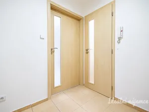 Pronájem bytu 1+kk, Praha - Žižkov, Biskupcova, 27 m2