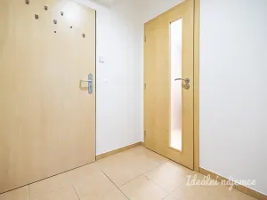 Pronájem bytu 1+kk, Praha - Žižkov, Biskupcova, 27 m2