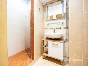 Pronájem bytu 1+kk, Praha - Žižkov, Biskupcova, 27 m2