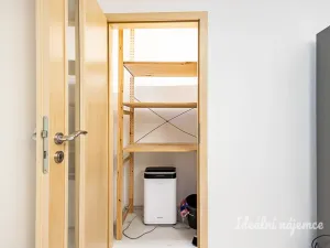Pronájem bytu 1+kk, Praha - Žižkov, Biskupcova, 27 m2