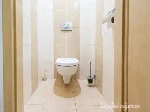 Pronájem bytu 1+kk, Praha - Žižkov, Biskupcova, 27 m2