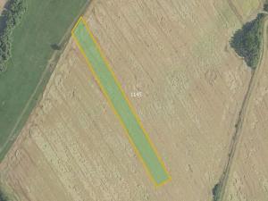 Prodej pole, Podluhy, 19085 m2