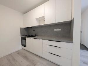 Pronájem bytu 2+kk, Mnichovo Hradiště, Lidická, 39 m2