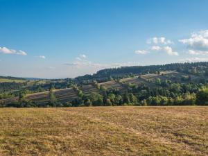 Prodej ubytování, Dolní Moravice, 2789 m2