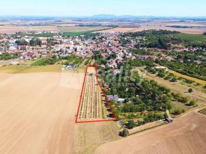 Prodej pozemku pro bydlení, Miroslav, 9920 m2