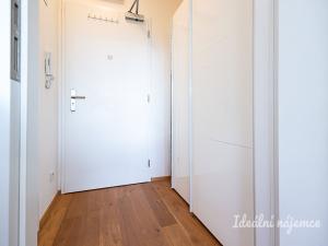 Pronájem bytu 1+kk, Praha - Vinohrady, Perucká, 26 m2