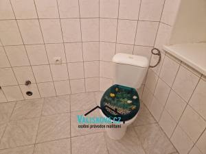 Pronájem výrobních prostor, Skaštice, 110 m2