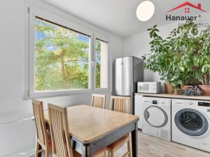 Prodej bytu 3+1, Ústí nad Labem - Neštěmice, Seifertova, 74 m2