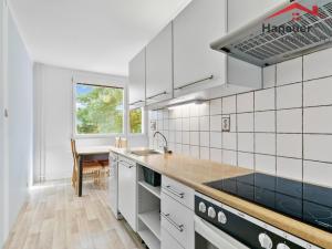 Prodej bytu 3+1, Ústí nad Labem - Neštěmice, Seifertova, 74 m2