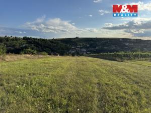 Prodej pozemku pro bydlení, Borkovany, 7835 m2