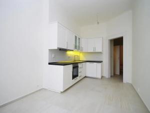 Pronájem bytu 2+kk, Praha - Vinohrady, Mánesova, 47 m2