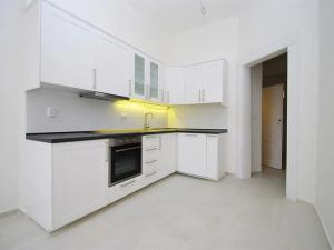 Pronájem bytu 2+kk, Praha - Vinohrady, Mánesova, 47 m2