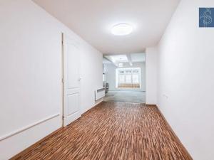 Prodej bytu 1+kk, Praha - Nusle, Na Jezerce, 35 m2