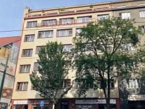 Prodej bytu 1+kk, Praha - Karlín, Sokolovská, 31 m2
