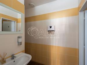 Pronájem restaurace, Praha - Holešovice, U studánky, 53 m2