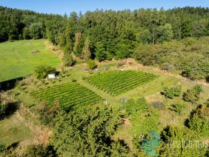 Prodej sadu/vinice, Lhenice, 7971 m2