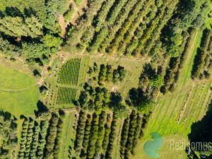 Prodej sadu/vinice, Lhenice, 7971 m2
