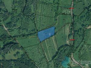 Prodej sadu/vinice, Lhenice, 7971 m2
