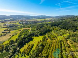 Prodej sadu/vinice, Lhenice, 8045 m2