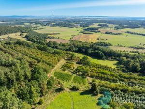 Prodej sadu/vinice, Lhenice, 8045 m2