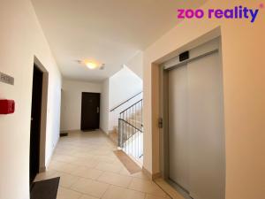 Prodej bytu 3+kk, Praha, Františka Diviše, 66 m2