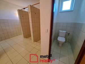 Pronájem výrobních prostor, Přáslavice, 413 m2