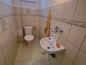 Pronájem výrobních prostor, Přáslavice, 413 m2
