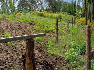 Prodej lesa, Hrazany - Klisinec, 9634 m2