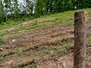 Prodej lesa, Hrazany - Klisinec, 9634 m2