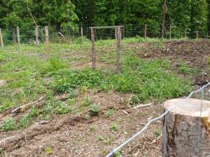 Prodej lesa, Hrazany - Klisinec, 9634 m2