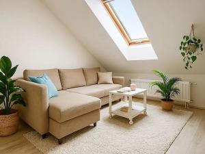 Prodej bytu 2+kk, Brno, Novobranská, 55 m2