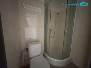 Pronájem bytu 1+kk, Cheb, Školní, 40 m2