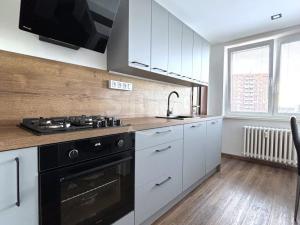 Prodej bytu 2+1, Ostrava - Hrabůvka, 56 m2